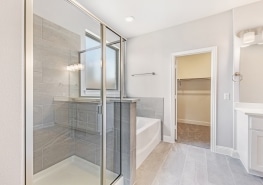 A bathroom with a walk in shower and a sink.