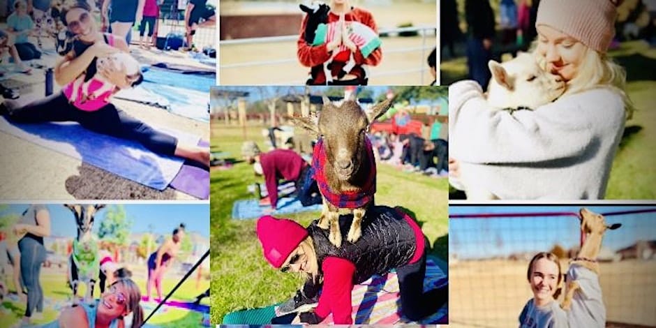 A collage of pictures of people doing yoga with dogs.