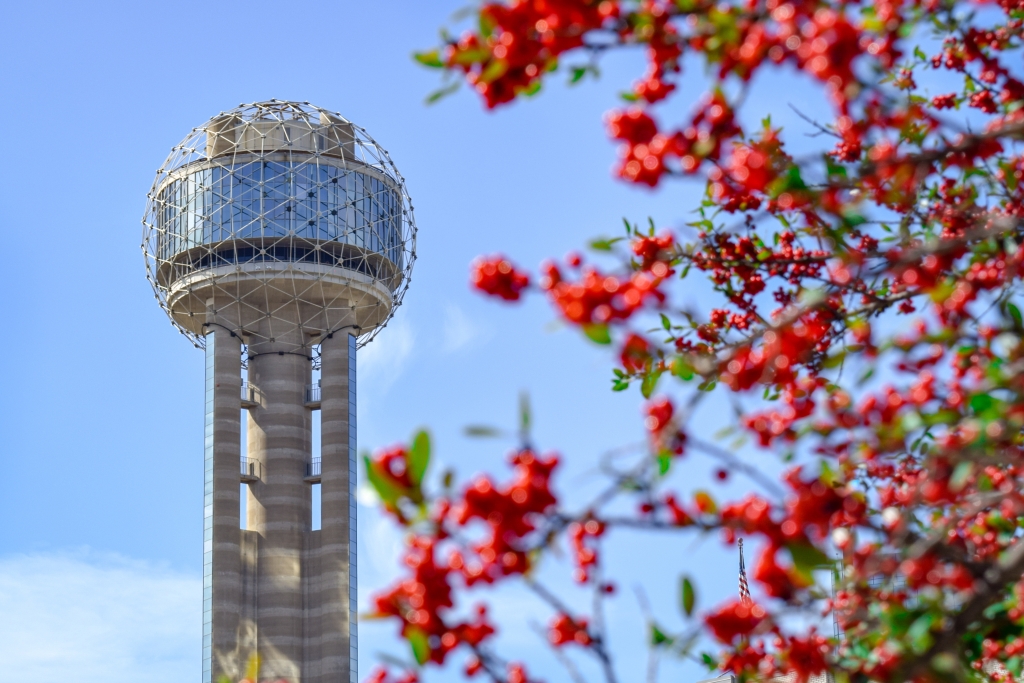A tower with red berries in front of it, heralding the arrival of spring.