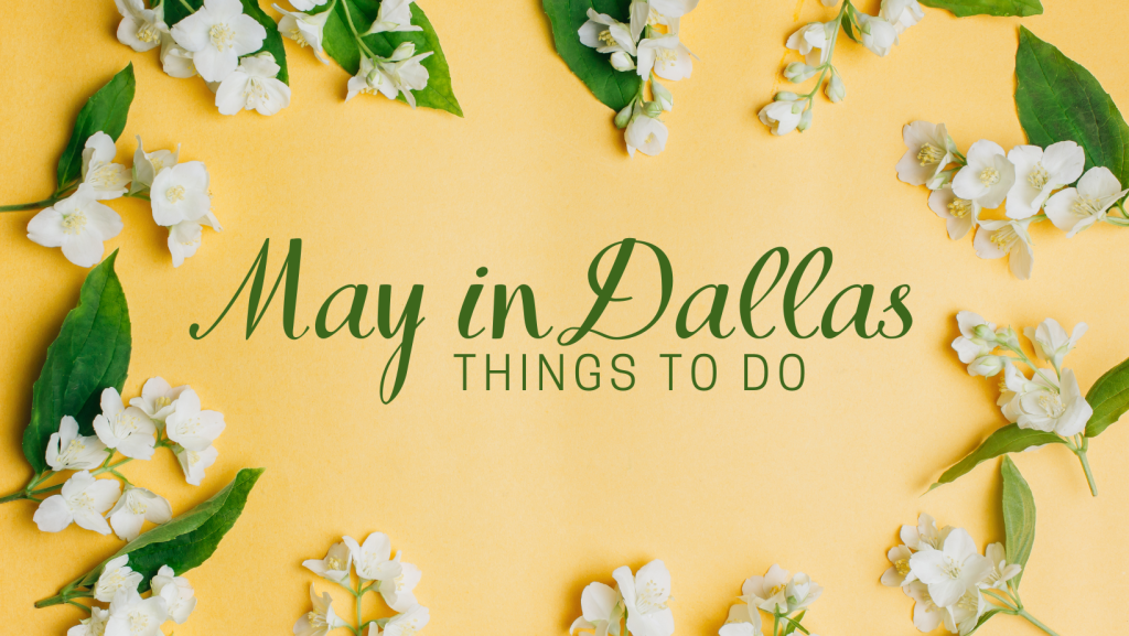 May in dallas things to do.
